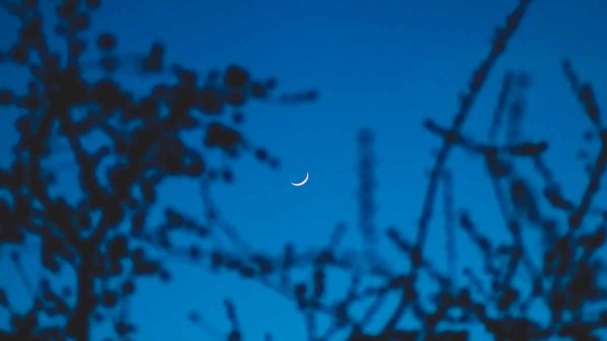 Un croissant de Lune. // Source : Pexels (photo recadrée)