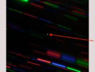 L'image de 2020 CD3. // Source : The international Gemini Observatory/NSF’s National Optical-Infrared Astronomy Research Laboratory/AURA (photo modifiée, annotations Numerama)