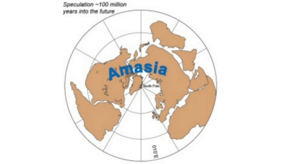 Voici à quoi ressemblerait l'Amasie. // Source : Nature / Mitchell & al.