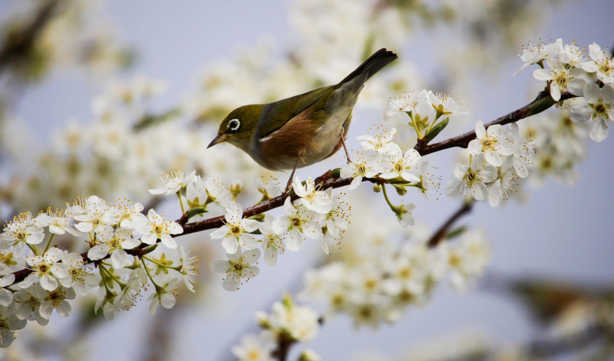 Equinoxe Pourquoi Le Printemps Tombe T Il Le Mars Cette Annee