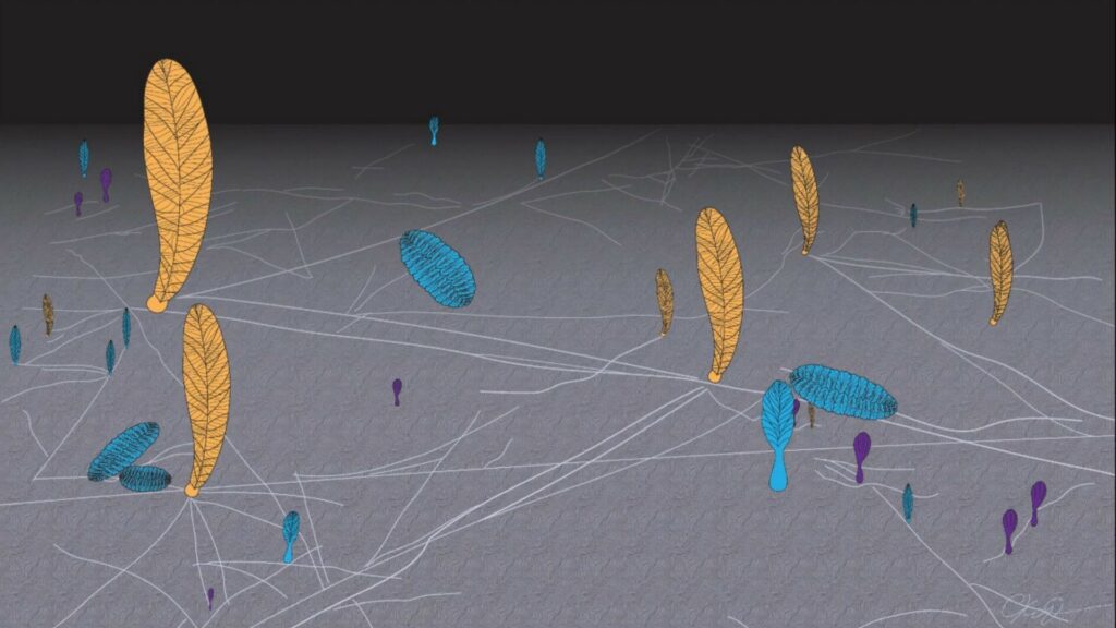 Représentation graphique du réseau de filaments qui reliait ces rangeomorphes. // Source : Current Biology / Université de Cambridge