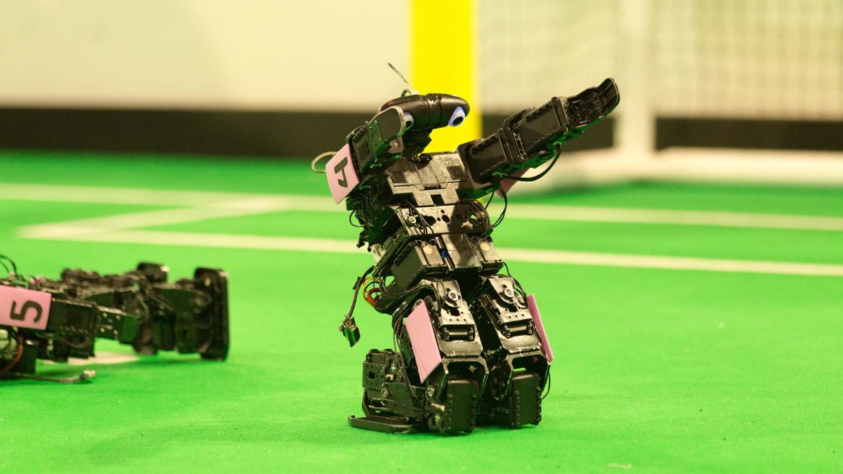 Goooaaaal ! // Source : RoboCup2013