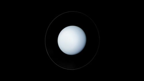 Vue d'artiste d'Uranus à partir des images de Voyager 2 le 22 janvier 1986. // Source : Flickr/CC/NASA/JPL-Caltech/Kevin M. Gill (photo recardée et modifiée)