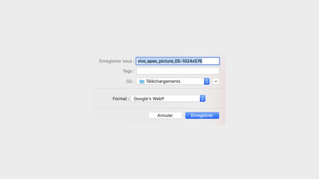WebP forcé // Source : Capture d'écran Numerama WebP forcé // Source : Capture d'écran Numerama