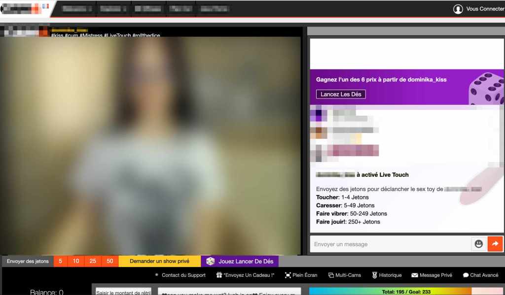 Capture d'écran d'un site de cam // Source : Flou Numerama