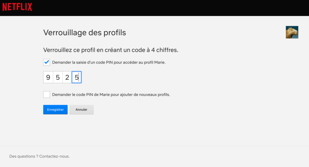 Capture d'écran Netflix Capture d'écran Netflix