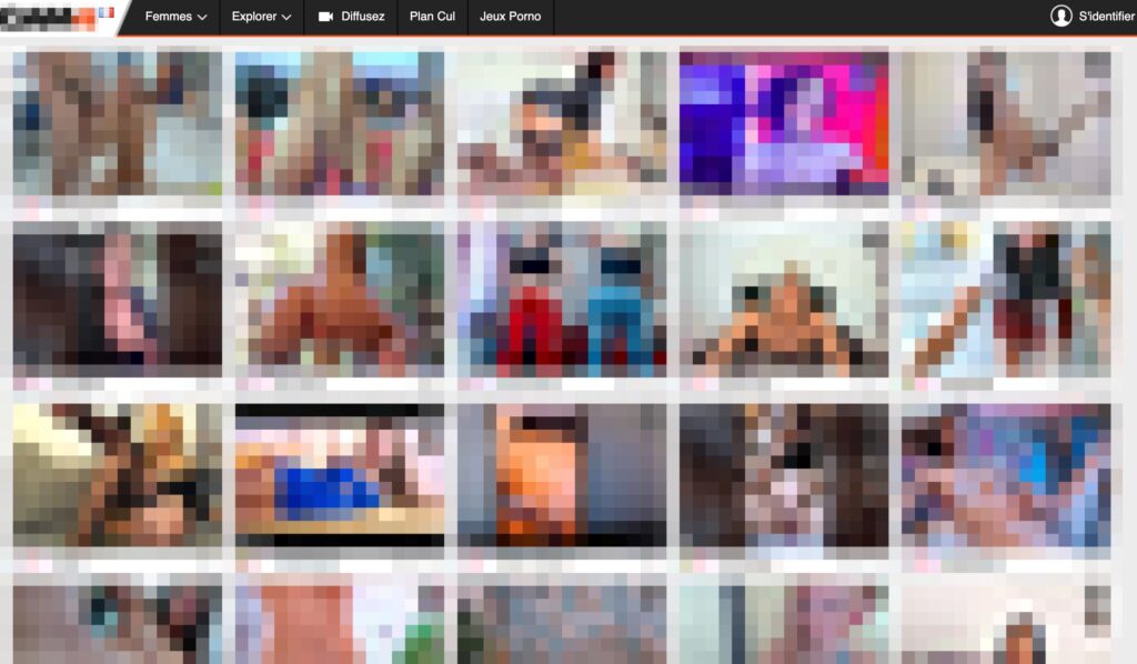 Capture d'écran d'un site de cam // Source : Flou Numerama Capture d'écran d'un site de cam // Source : Flou Numerama