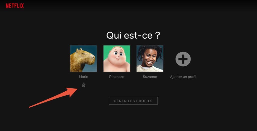 Capture d'écran Netflix Capture d'écran Netflix
