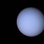Uranus photographiée par Voyager 2. // Source : Wikimedia/CC/NASA (photo recadrée et modifiée)