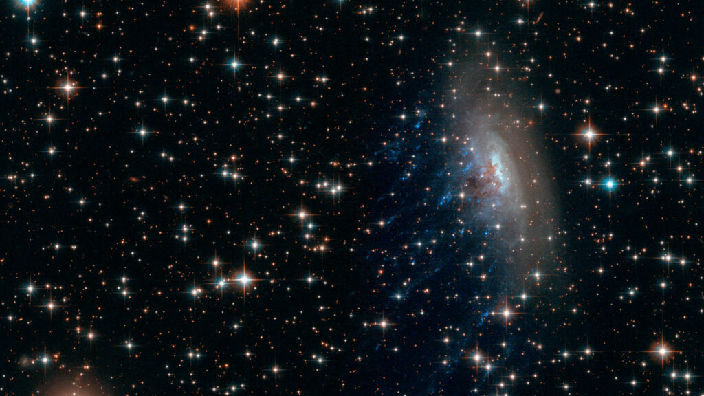 ESO 137-001, un exemple de galaxie « méduse ». // Source : Flickr/CC/Nasa Hubble Space Telescope (photo recadrée)