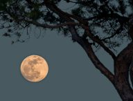 La pleine lune. // Source : Flickr/CC/Bernd Thaller (photo recadrée)