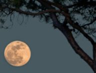 La pleine lune. // Source : Flickr/CC/Bernd Thaller (photo recadrée)