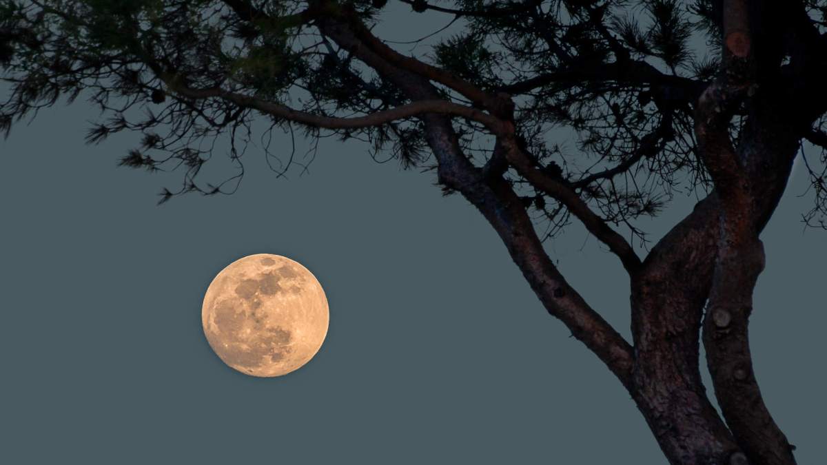 La pleine lune. // Source : Flickr/CC/Bernd Thaller (photo recadrée)