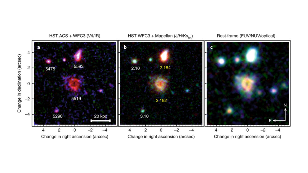 La galaxie R5519 dans plusieurs longueurs d'ondes. // Source : Nature Astronomy
