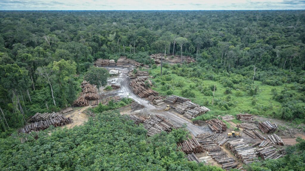 La déforestation génère un dérèglement de l'écosystème local. // Source : Ibama / Wikimedia
