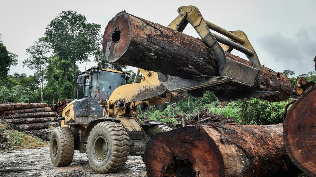 La déforestation en Amazonie a bondi de 53 % sur la période octobre 2019 / avril 2020. // Source : Ibama / Wikimedia
