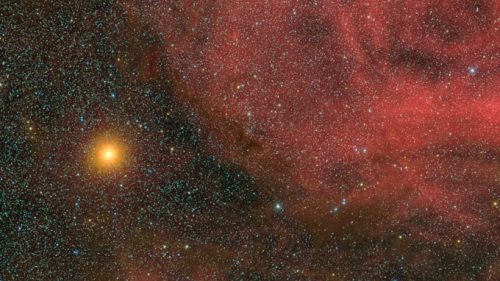 Bételgeuse. // Source : Flickr/CC/Giuseppe Donatiello (photo recadrée)