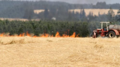 Feu dans un champ agricole. // Source : Flickr/CC/Oregon Department of Agriculture (photo recadrée)