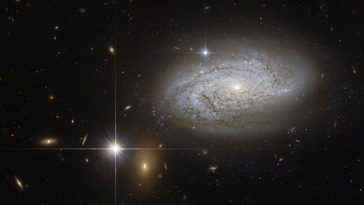 La galaxie NGC 3021 contient des céphéides, utiles pour estimer des mesures de distance. // Source : NASA & ESA (photo recadrée)