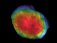 Phobos le 24 avril 2019. // Source : NASA/JPL-Caltech/ASU/NAU (photo recadrée)