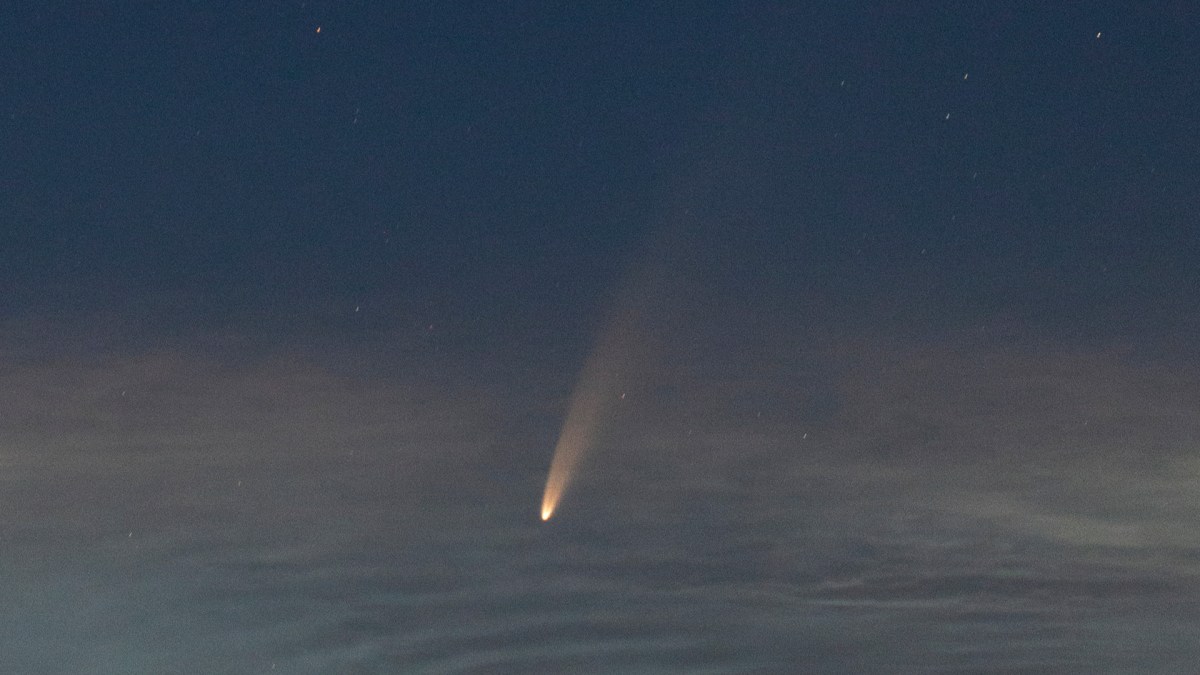 La comète C/2020 F3 (NEOWISE) dans le ciel de Hongrie. // Source : Flickr/CC/György Soponyai (photo recadrée)