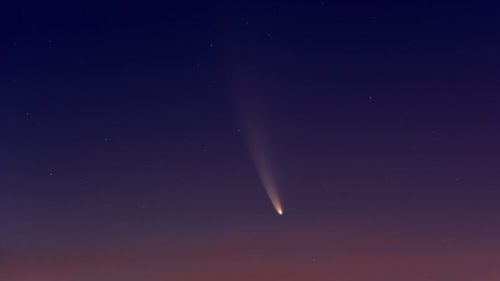 La comète C/2020 F3 (NEOWISE) vue du Texas. // Source : Flickr/CC/Rob Pettengill (photo recadrée)