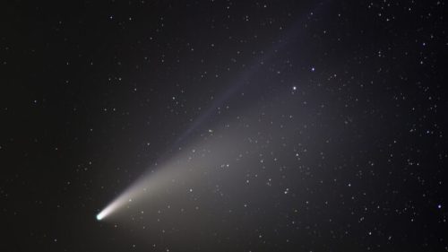 La comète C/2020 F3 (NEOWISE). // Source : Flickr/CC/Niccolò Ubalducci (photo recadrée)