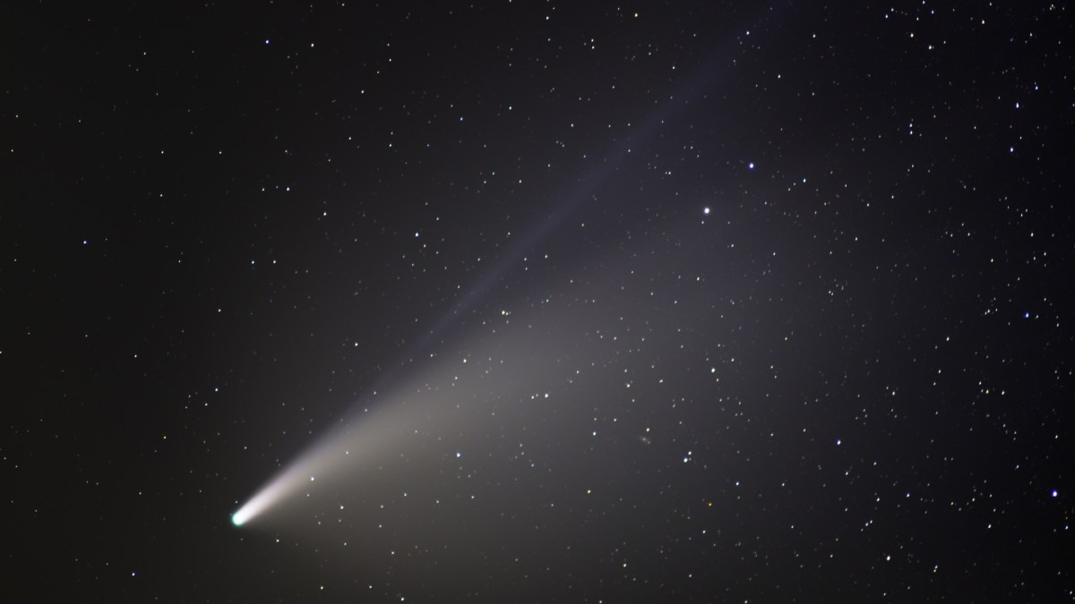 La comète C/2020 F3 (NEOWISE). // Source : Flickr/CC/Niccolò Ubalducci (photo recadrée)