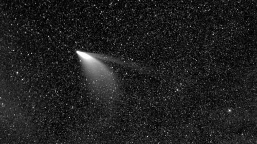 La comète NEOWISE vue par Parker Solar Probe. // Source : NASA/Johns Hopkins APL/Naval Research Lab/Parker Solar Probe/Guillermo Stenborg (photo recadrée)