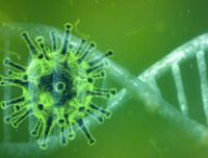 Représentation du coronavirus et de l'ADN. // Source : Pixabay (photo recadrée)