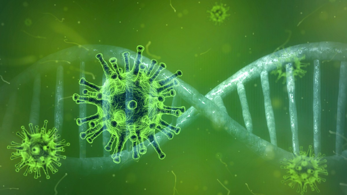Représentation du coronavirus et de l'ADN. // Source : Pixabay (photo recadrée)
