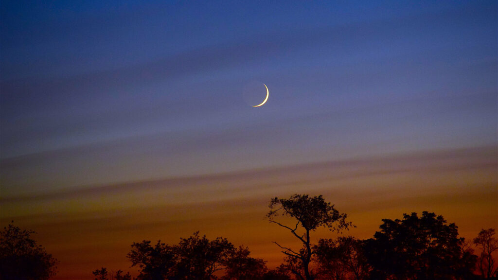 Un fin croissant de Lune. // Source : Pixabay (photo recadrée)