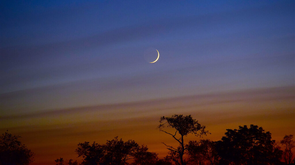 Un fin croissant de Lune. // Source : Pixabay (photo recadrée) Un fin croissant de Lune. // Source : Pixabay (photo recadrée)