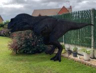 Les dinosaures Google en réalité augmentée // Source : Maxime Claudel pour Numerama