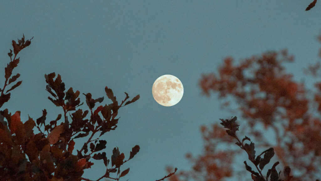 Pleine Lune. // Source : Pexels/Griffin Wooldridge (photo recadrée)