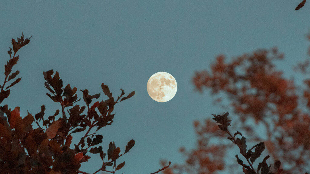 Pleine Lune. // Source : Pexels/Griffin Wooldridge (photo recadrée) Pleine Lune. // Source : Pexels/Griffin Wooldridge (photo recadrée)