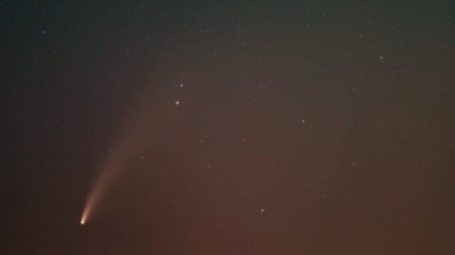 La comète C/2020 F3 (NEOWISE). // Source : Flickr/CC/David Wipf (photo recadrée)