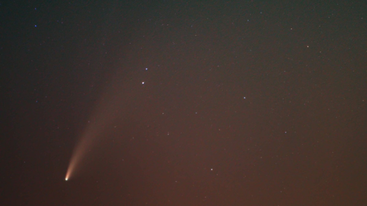 La comète C/2020 F3 (NEOWISE). // Source : Flickr/CC/David Wipf (photo recadrée)