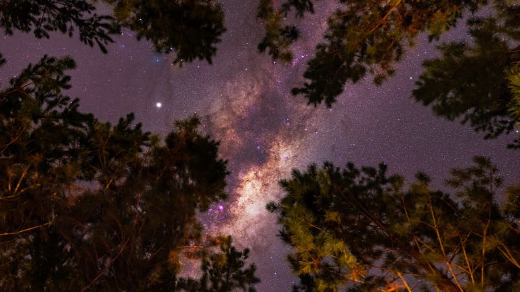 Panorama de la Voie lactée depuis une forêt. // Source : Flickr/CC/Trevor Dobson (photo recadrée)