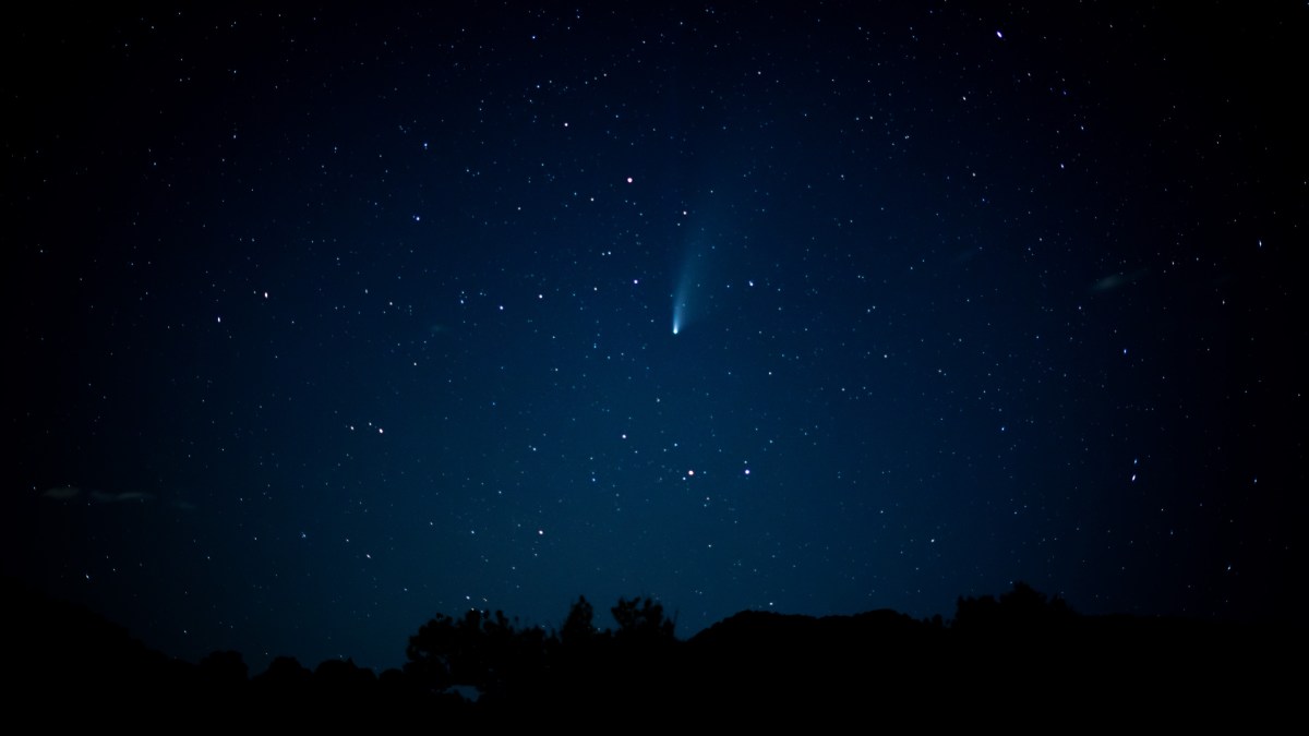 La comète C/2020 F3 (NEOWISE). // Source : Flickr/CC/Fabrizio Corda (photo recadrée)