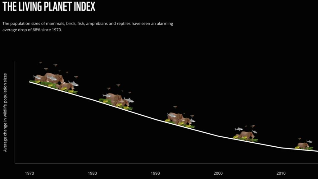 Les populations de mammifères, d'oiseaux, de poissons, d'amphibiens et de reptiles sont toutes en déclin depuis 1970. // Source : WWF