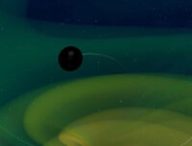 Représentation de deux trous noirs prêts à fusionner. // Source : N. Fischer, H. Pfeiffer, A. Buonanno (Max Planck Institute for Gravitational Physics), Simulating eXtreme Spacetimes (SXS) Collaboration