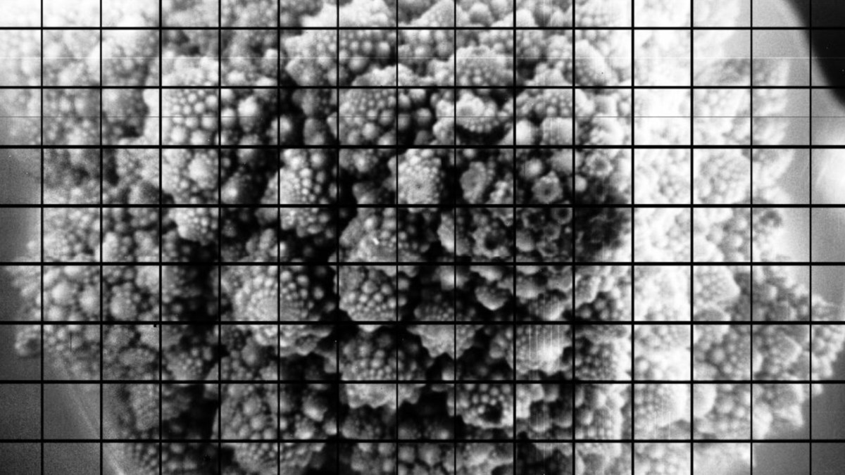 Une des images prises par la caméra du télescope. // Source : Observatoire Vera-C.-Rubin