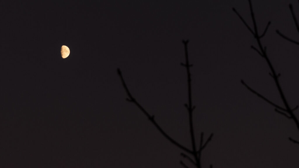 La Lune. // Source : Pexels/Irina Iriser La Lune. // Source : Pexels/Irina Iriser