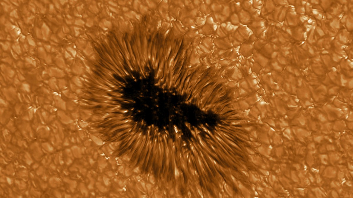 Une tâche solaire observée par le télescope GREGOR. // Source : KIS (photo recadrée)