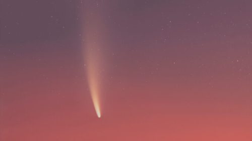 La comète C/2020 F3 (NEOWISE). // Source : Flickr/CC/Nico Carver (NebulaPhotos.com) (photo recadrée)
