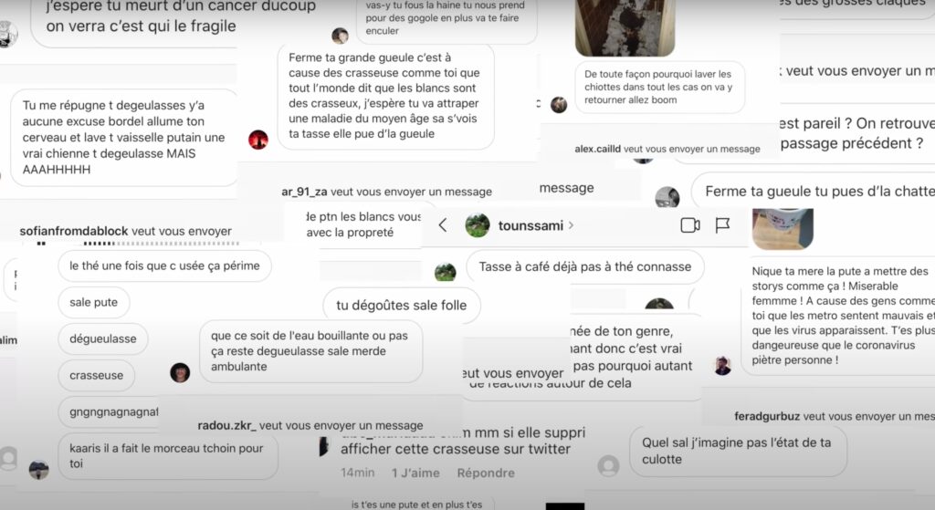 Des insultes reçues par Aline Dessin lors d'un raid numérique // Source : Aline Dessine / Youtube