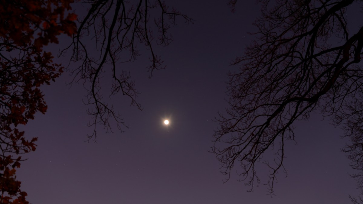 Conjonction entre la Lune, Jupiter et Saturne. // Source : Flickr/CC/Ed Dunens (photo recadrée)