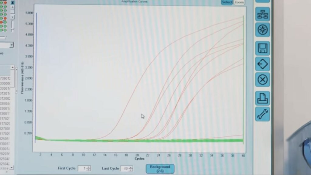 Sur l'écran, toute une plaque d'échantillon. Les courbes rouges sigmoïdes signifient des tests positifs. La courbe rouge plus faible, au bas de l'écran, est un test positif à faible charge virale. Les courbes verts, plates, sont des tests négatifs. // Source : Numerama / Arnaud Gelineau
