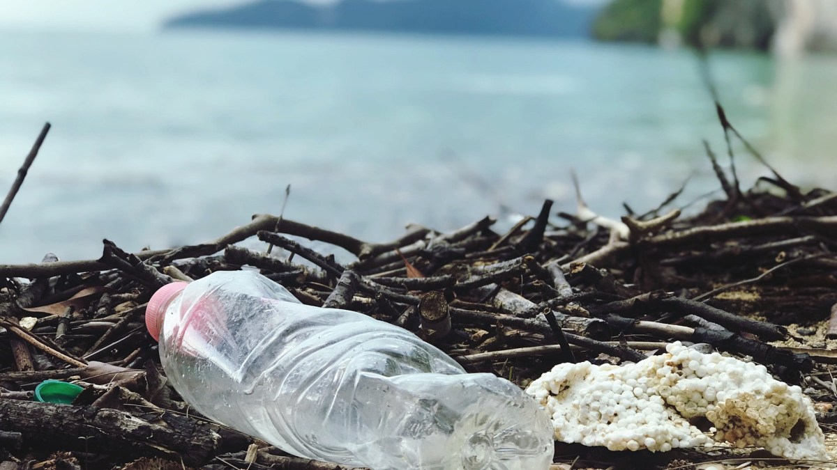 Le plastique est une pollution importante, qui pourrait encore se démultiplier dans les années à venir. // Source : Pexels